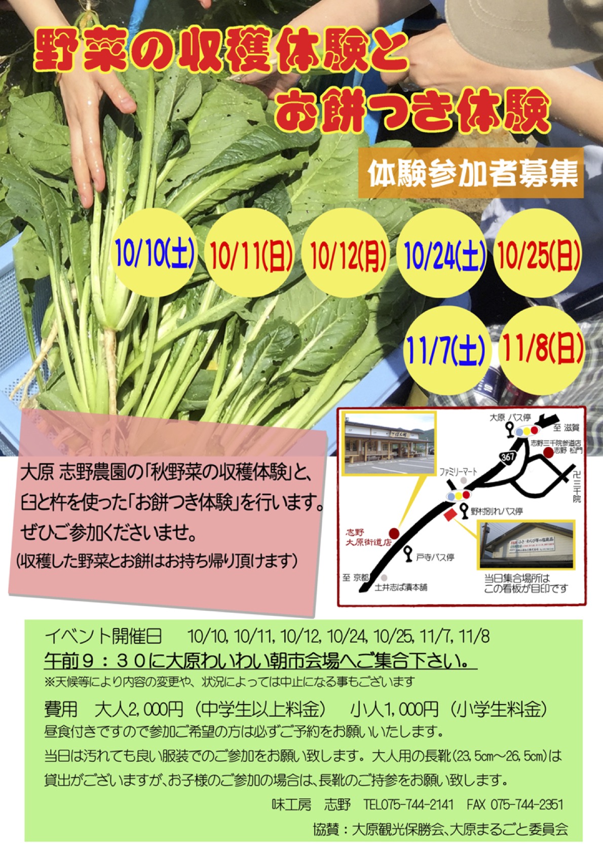 10月と11月の体験情報！【小松菜の収穫とお餅つき体験】